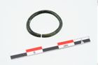 Foto von Bronzering (NHMW-PRAE-025230a)